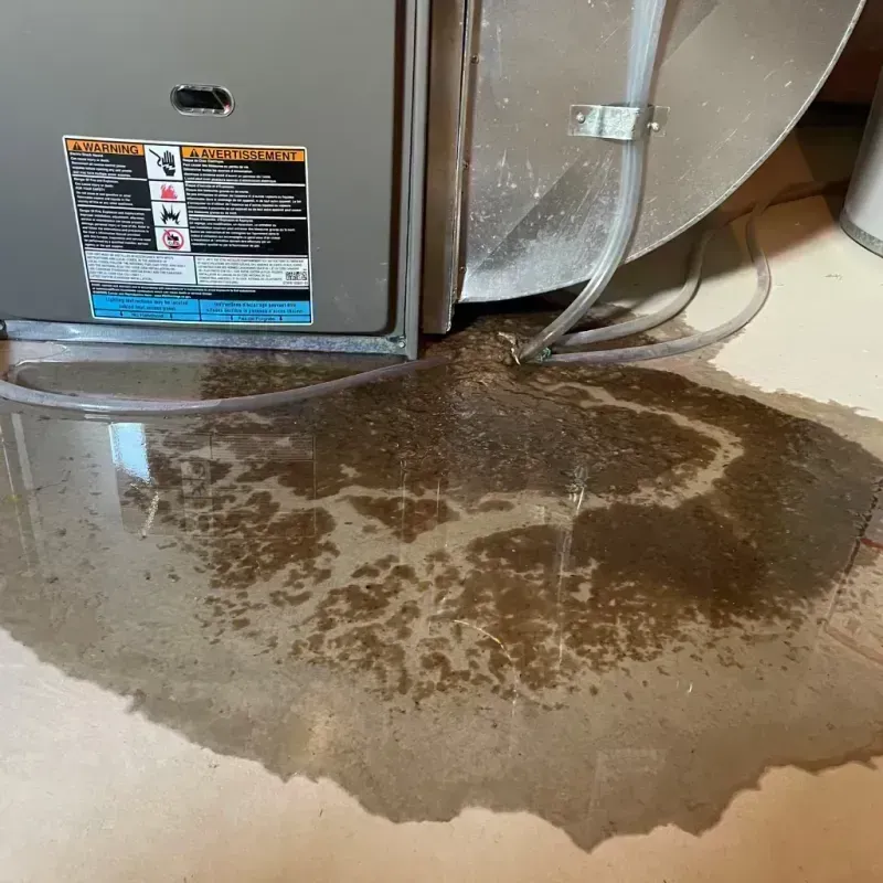 Appliance Leak Cleanup in Cook County, IL